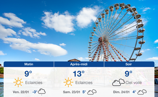 Météo Toulouse: Prévisions du jeudi 21 janvier 2021