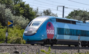 Illustration: Un TGV Ouigo passe à Neuville Vitasse, dans le Nord de la France, le 2 juin 2021.