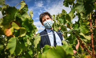 Julien Denormandie est le ministre de l'Agriculture depuis juillet.