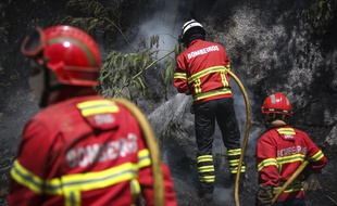 Des pompiers portugais à la lutte avec un feu de forêt en août 2018