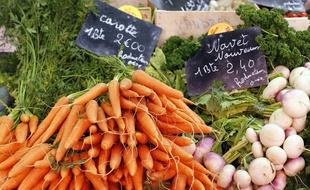 Une botte de carottes