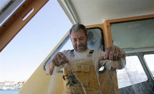 La Cour de justice européenne a rejeté jeudi un recours de la France contre l'interdiction de la pêche à la "thonaille", un filet controversé utilisé pour la capture de thons en Méditerranée, infligeant un revers au gouvernement et aux professionnels concernés.