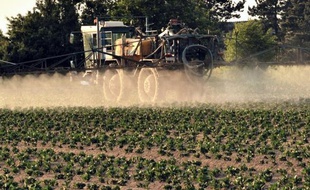 Les pesticides, majoritairement utilisés dans l'agriculture, mais que l'on retrouve partout dans l'environnement (air, poussières, denrées alimentaires...) sont impliqués dans des pathologies graves comme des cancers ou la maladie de Parkinson, souligne une synthèse de l'Inserm.