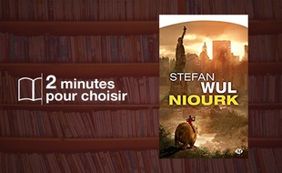«Niouk» de Stefan Wul chez Milady (5,90€)