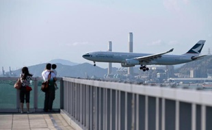 La compagnie aérienne hongkongaise Cathay Pacific a annoncé qu'elle ne transporterait plus d'ailerons de requins