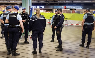 La police a perquisitionné plusieurs maisons dans trois villes des Pays-Bas (illustration)