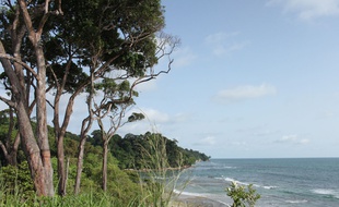 La côte atlantique et l'Arboretum Raponda Walker au nord de Libreville, au Gabon.
