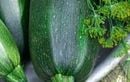 Légumes et grossesse : pourquoi ils sont essentiels pour vous et bébé