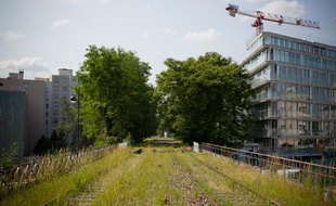 La petite ceinture, ancienne voie ferrée en rocade, pourrait devenir une promenade verte ou à nouveau accueillir du transport.