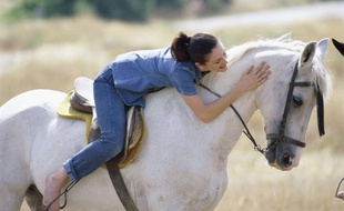 Equitation - illustration.