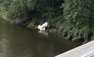 Le buste de Neptune d'Ugo Schiavi, le 2 juillet 2021, au premier jour de son installation