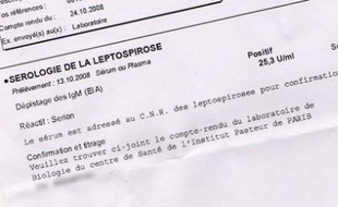 Extrait d'une analyse de laboratoire sur la leptospirose
