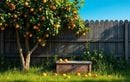 Quand les fruits du voisin tombent chez vous, voici ce que vous devez faire