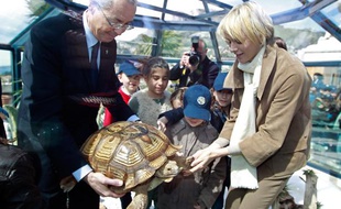 Robert Calcagno, directeur de l'Institut océanographique de Monaco, présente une tortue malienne à la princesse Charlène, lors de l'inauguration de l'Ile aux tortues sur le toit du Musée, le 24 avril 2012.