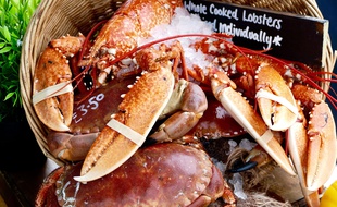 Illustration de homards.