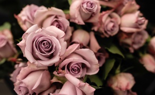 Les policiers sont accusés de racket sur des vendeurs de roses (illustration).