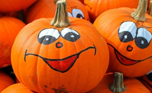 Illustration de citrouilles pour Halloween.