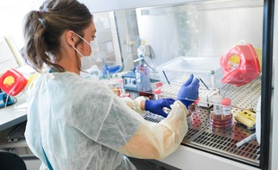 Un laboratoire de l'hôpital Sainte-Camille de Bry-sur-Marne.