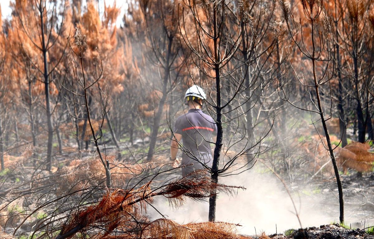 Incendies en Gironde : La crainte d'un été 2023 « pire que l'été 2022 »