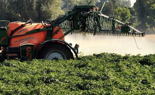 Cette boîte de conserve contient-elle des OGM ? Combien de pesticides pour ce thé ? Quelles marques refusent de dévoiler leurs pratiques agricoles ? Greenpeace distribue à partir de ce vendredi un guide pour aider les consommateurs à "décrypter leur liste de courses".