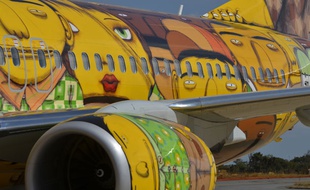 L'avion des footballeurs brésiliens pour la Coupe du monde