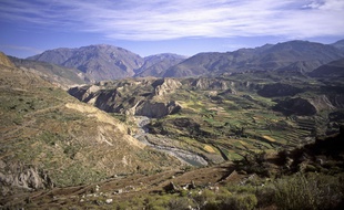 Le canyon de Colca, au Pérou.