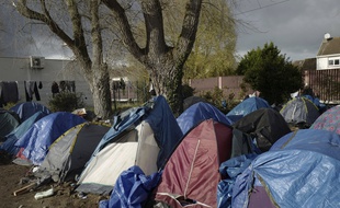 Des tentes plantées par des migrants près de Calais, le 27 novembre 2021.