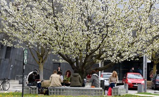 Photo d'illustration du campus universitaire de Saint-Martin-d'Hères, près de Grenoble. JEAN-PIERRE CLATOT