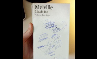 Moby Dick ou "Maudit Bic"? Une des couvertures détournées par Clémentine Mélois.