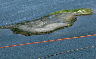 Une ile protégée par des bouées dans le Golfe du Mexique, vendredi 30 avril 2010, alors que la marée noire approche.
