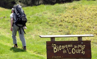 Un membre de l'ONCFS chargé du suivi de l'ours brun dans les Pyrénées. (Illustration)