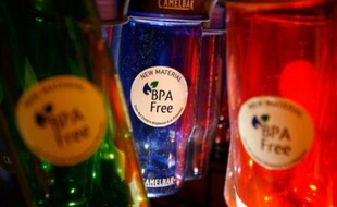 Le Bisphénol A (BPA), produit chimique soupçonné de perturber le système hormonal et présent dans les plastiques d'emballages et de biberons, peut pénétrer l'organisme humain par la peau, a affirmé jeudi l'Institut National de la Recherche Agronomique (INRA) de Toulouse.