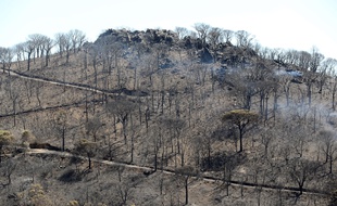Le paysage ravagé par les flammes à la Croix-Valmer.