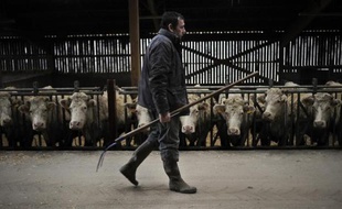 Confronté au départ en retraite des patrons de petits commerces, d'agriculteurs et d'artisans, et au manque de repreneurs, le Cantal lance une vaste opération séduction pour attirer de nouveaux arrivants