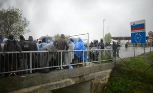 Des migrants attendent le 19 octobre 2015 d'être autorisés à la frontière entre la Croatie et la Slovénie à passer en territoire slovène
