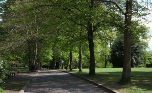 L'homme a été arrêté dans un parc de la ville (illustration).