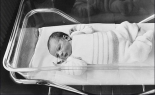 Amandine, le premier bébé éprouvette français, a donné elle-même naissance cette semaine à son premier enfant avec l'aide du même gynécologue qui l'a aidée à voir le jour le 24 février 1982, le Pr René Frydman, a annoncé dimanche l'hôpital Foch de Suresnes.