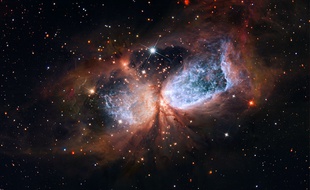 Une portion de la constellation du Cygne vue par Hubble.
