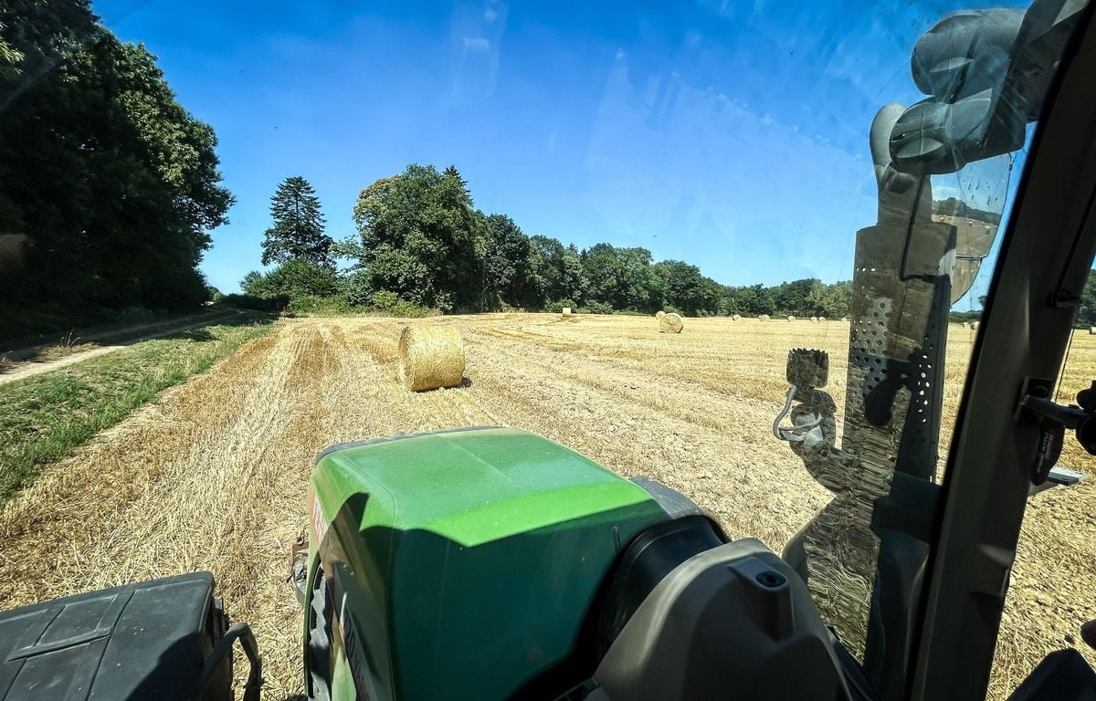 Lot-et-Garonne : La justice enquête sur des pressions de la Coordination rurale lors de la vente d'une ferme