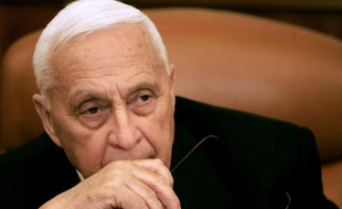 L'état de santé de l'ancien Premier ministre israélien Ariel Sharon, dans le coma depuis près de huit ans, s'est brusquement aggravé, a indiqué mercredi la radio militaire.