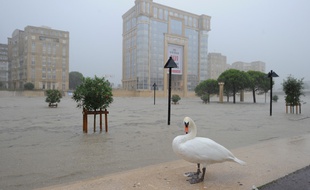 Les rues inondées de Montpellier, le 29 septembre 2014.