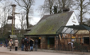 Le zoo de l'Orangerie à Strasbourg.