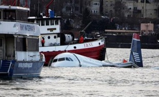 Les oiseaux, responsables apparemment de la panne des deux réacteurs d'un Airbus A320 contraint de se poser jeudi sur l'Hudson River à New York, sont à l'origine de nombreux accidents dans le monde.