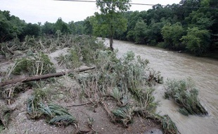 Une partie de la forêt Ouachita a été ravagée par la crue des rivières Caddo et Little Missouri, dans l'Arkansas, le 11 juin 2010.