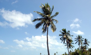 Photographie de l'île de Key West en Floride aux Etats-Unis. Illustration.