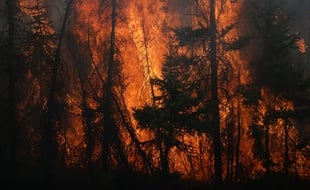 Plusieurs incendies ravageaient toujours la ville canadienne de Fort McMurray le 6 mai 2016.