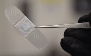 Des sparadraps intelligents pour détecter les infections