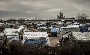 La «Jungle» de Calais, le 12 février 2016.