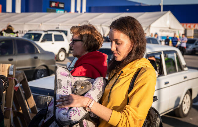 Guerre en Ukraine : Les réfugiés menacés par la traite d'êtres humains