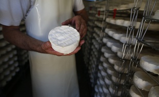 Un fromager dans son usine de fabrication de camembert, à Camembert en Normandie, le 24 août 2016.